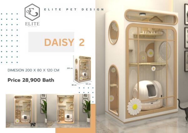 บ้านแมว daisy 2