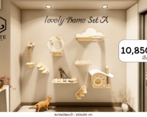 ผนังแมว Lovely Home Set A