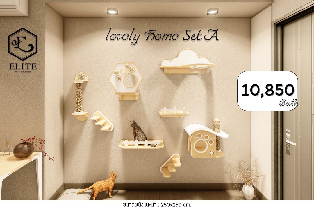 ผนังแมว Lovely Home Set A